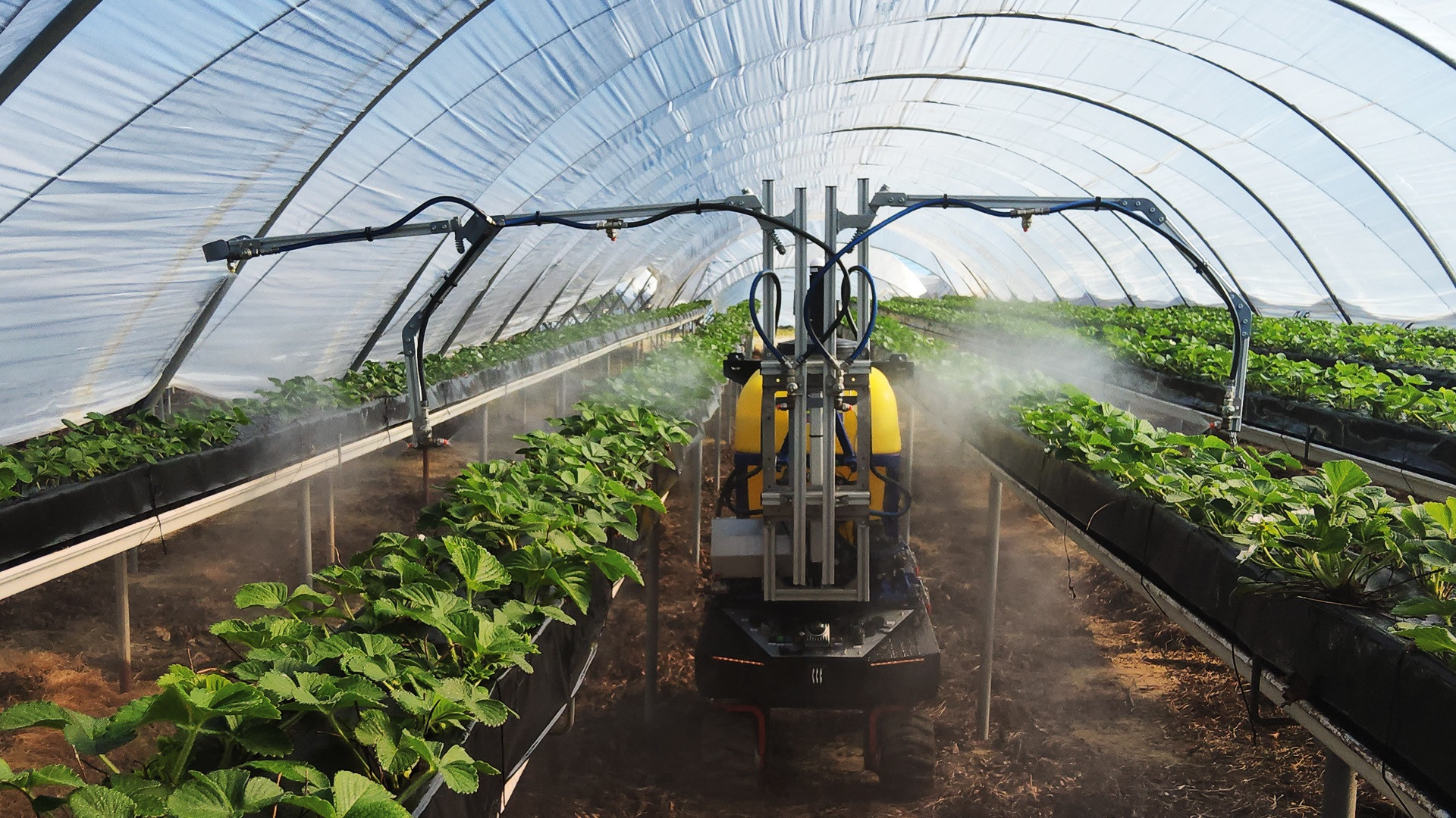 Eurecat muestra sus novedades en tecnología robótica en Agrobiotech Innovation Forum