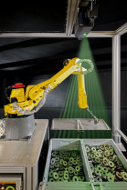 Fanuc vision artificial robotica 34642
