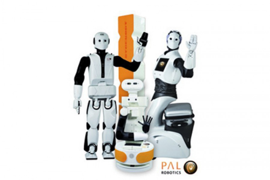 Pal robotics 23021