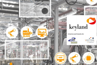 Keyland 20411