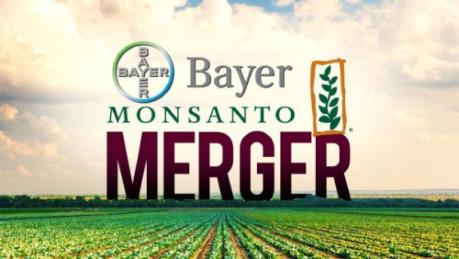 Bayer 18484