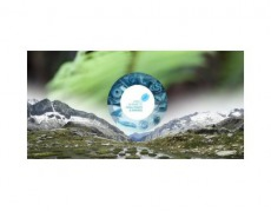 1st world biomimetic challenges and awards 43 16842