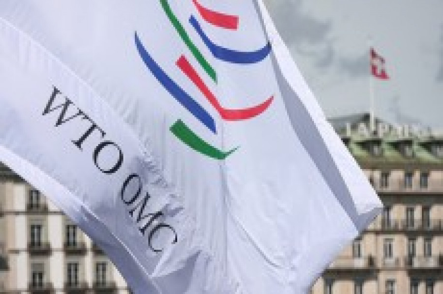 Organizacion mundial del comercio 13555