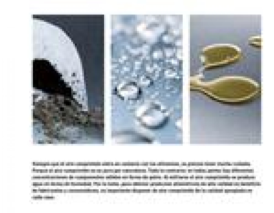 Libro blanco festo 8669