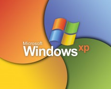 Windows xp 7691