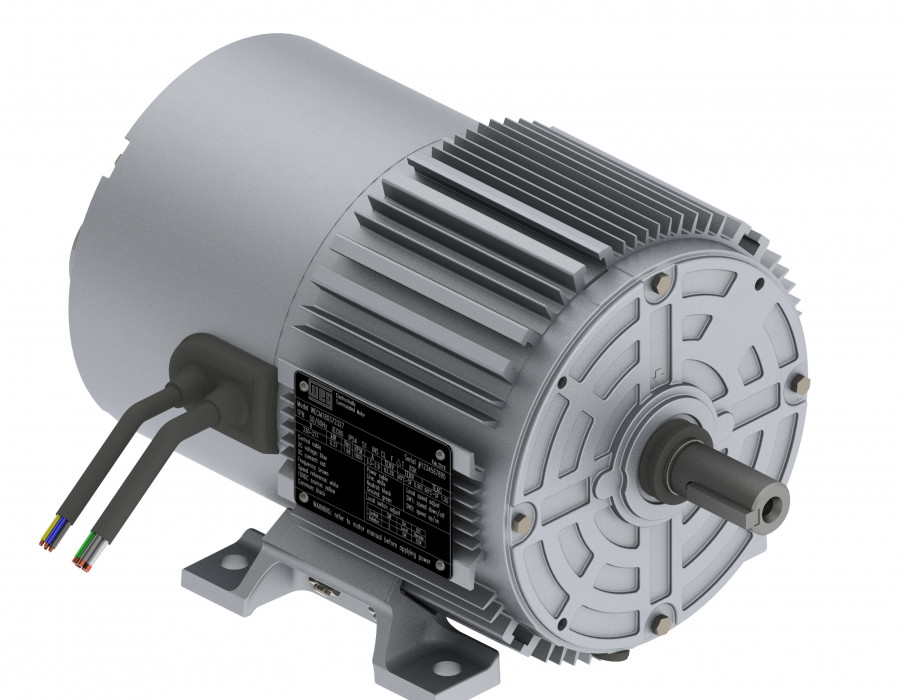 WEG439   IMAGE 1