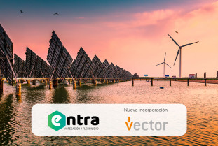 Entra vector redes