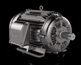 WEG927  FRAME 132 (small)