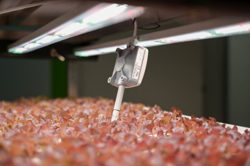 Food4Future