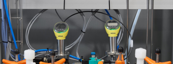 VEGA (1)