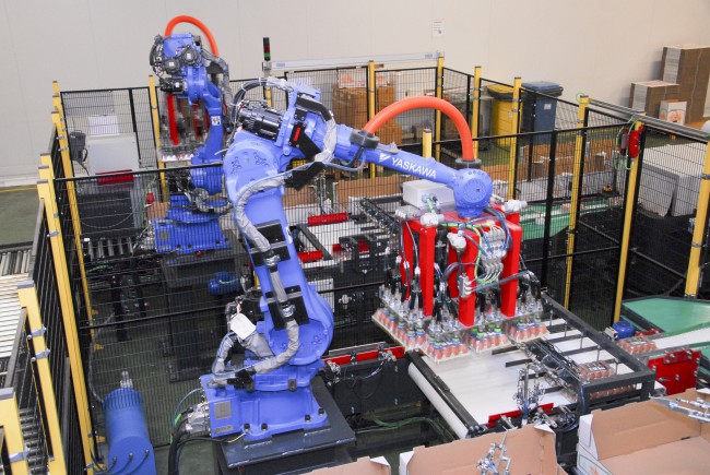 Los robots gestionan 120.000 huevos a la hora provenientes tanto del encajado automático como del que se realiza de manera manual.