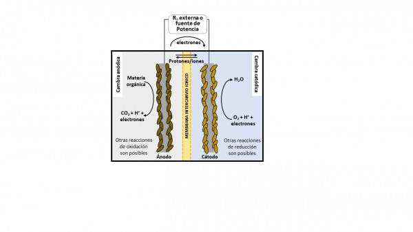 [2] Esquema de un sistema bioelectroquímico.